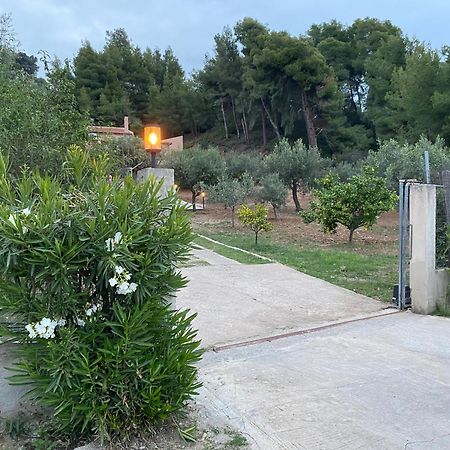 Askalosia Villa Áyios Yeóryios Bagian luar foto
