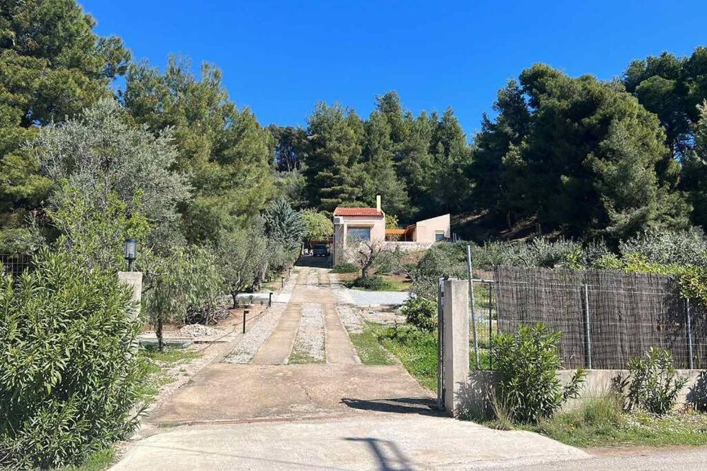 Askalosia Villa Áyios Yeóryios Bagian luar foto