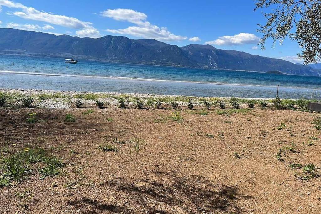 Askalosia Villa Áyios Yeóryios Bagian luar foto