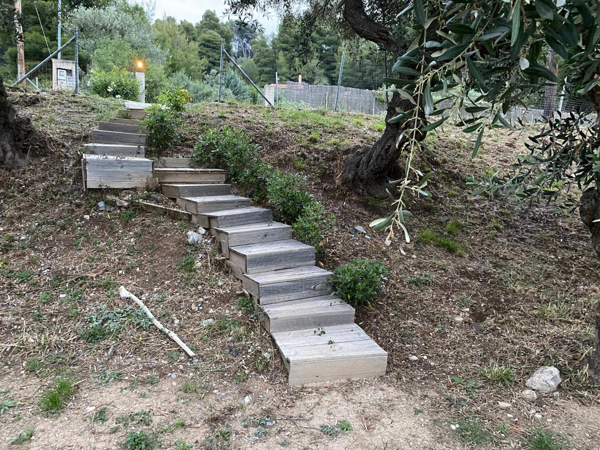 Askalosia Villa Áyios Yeóryios Bagian luar foto