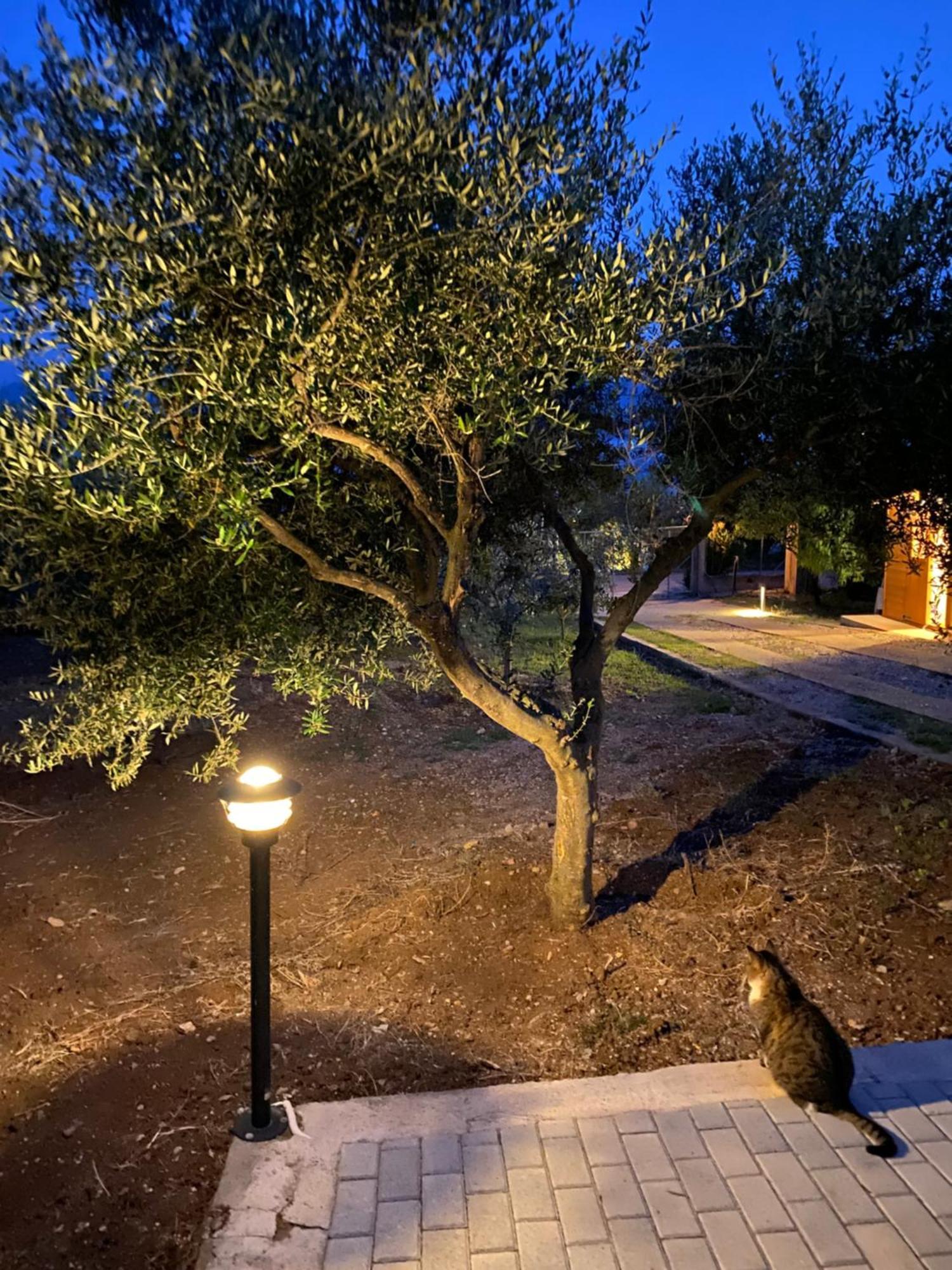 Askalosia Villa Áyios Yeóryios Bagian luar foto